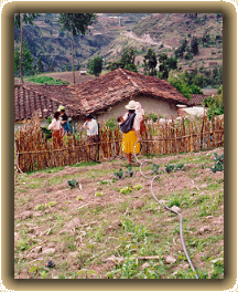 Foto Desarrollo Rural en el Sigsig